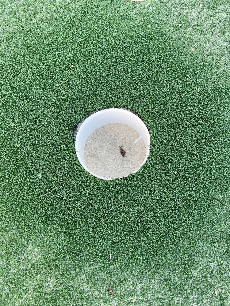 Local landscape installation experts serving Thousand Oaks, CA - Tri-County Turf