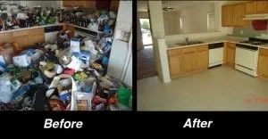 Professional outdoor landscaping in Orlando, FL by Tri Flame Home Services