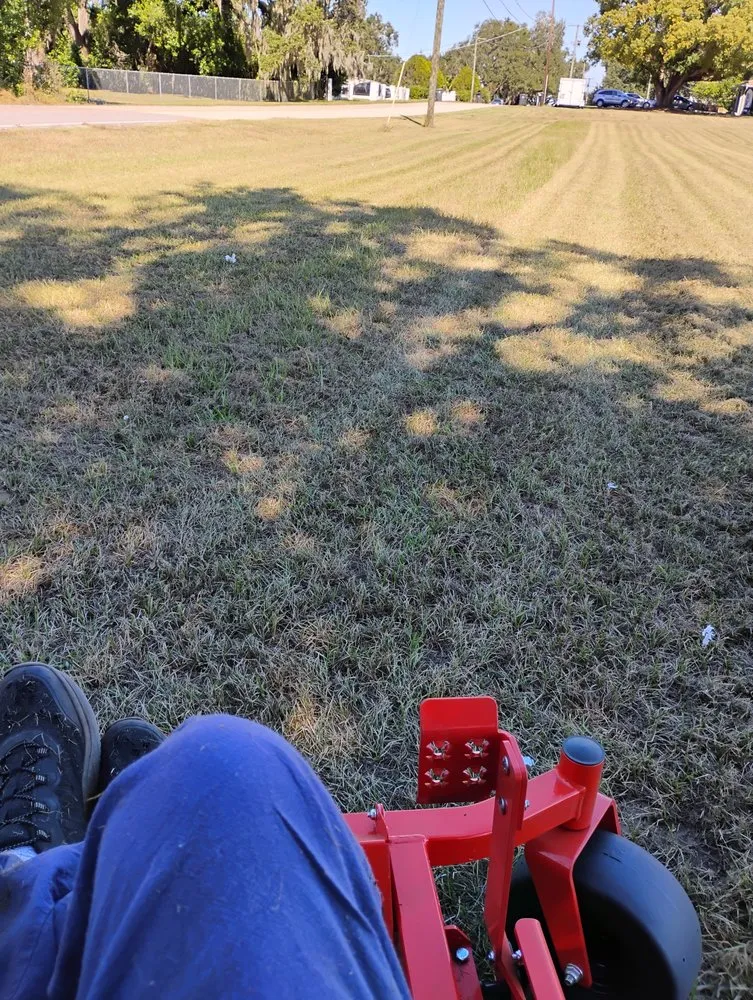 Professional lawn care service experts serving Tampa, FL - Tri Green Lawncare