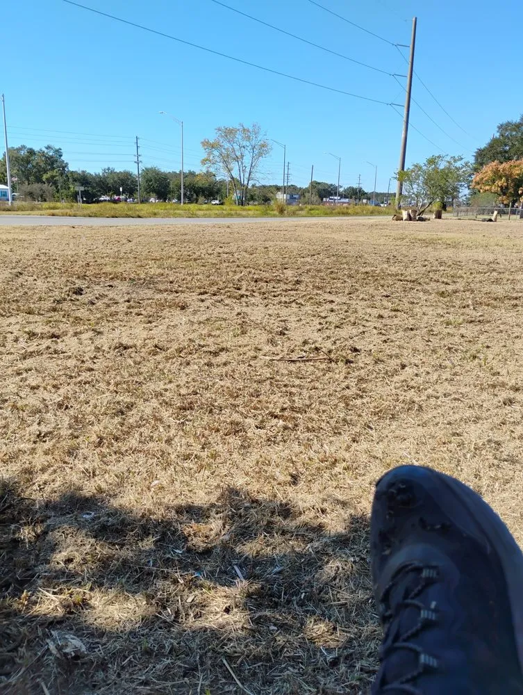 Top-rated yard cleanup service with custom design in Tampa, FL by Tri Green Lawncare