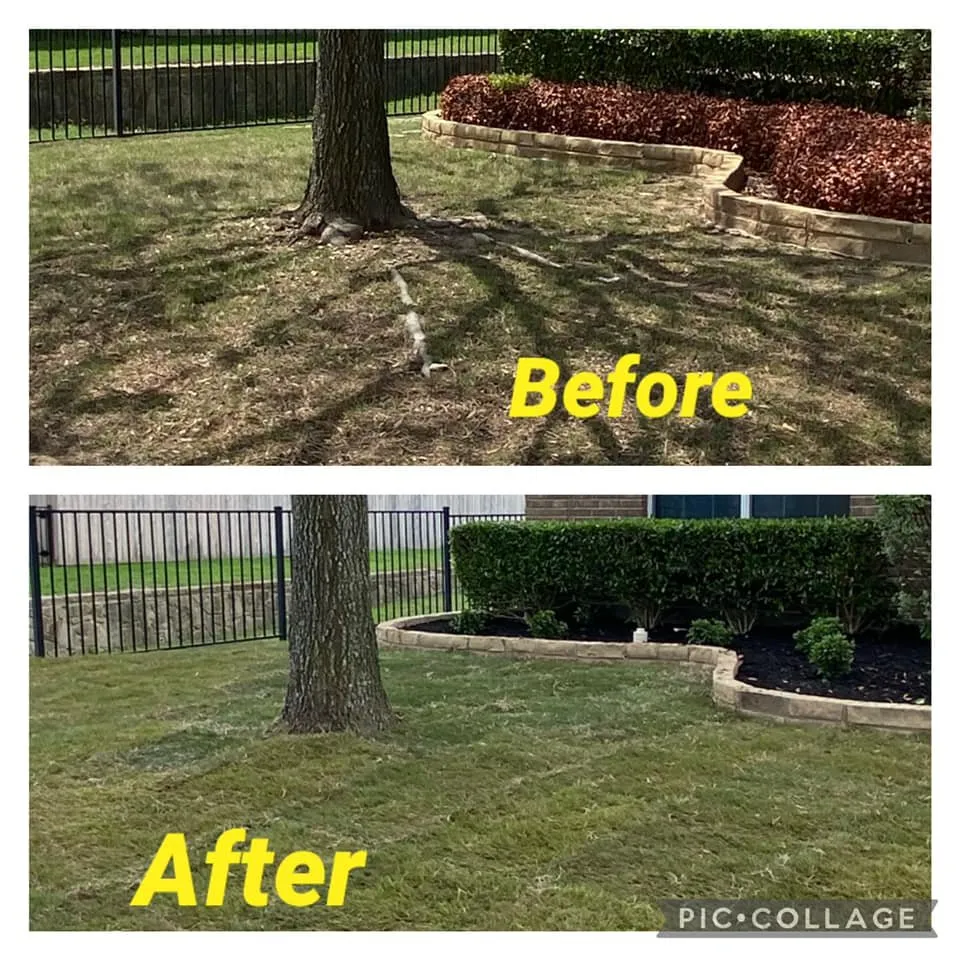 Expert yard maintenance in Saginaw, TX by Tri J Lawncare