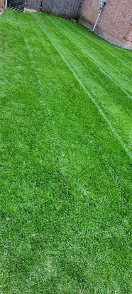 Trusted lawn mowing service experts serving Saginaw, TX - Tri J Lawncare