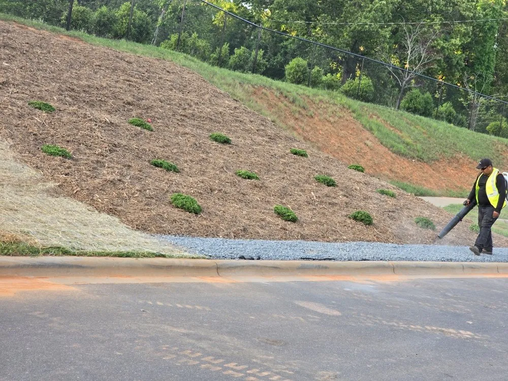 Professional residential landscaping experts serving Charlotte, NC - TRI Reyes Landscaping