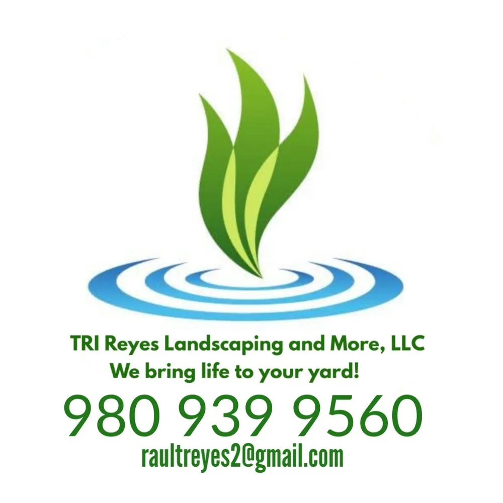 Expert landscaping services in Charlotte, NC by TRI Reyes Landscaping