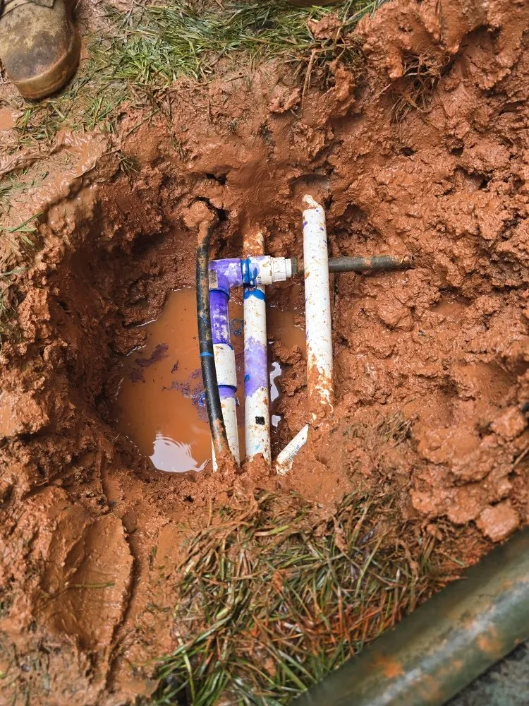 Expert yard maintenance for beautiful yards across Charlotte, NC - TRI Reyes Landscaping