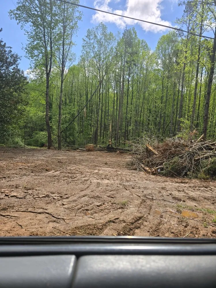 Top-rated landscape design in Charlotte, NC by TRI Reyes Landscaping