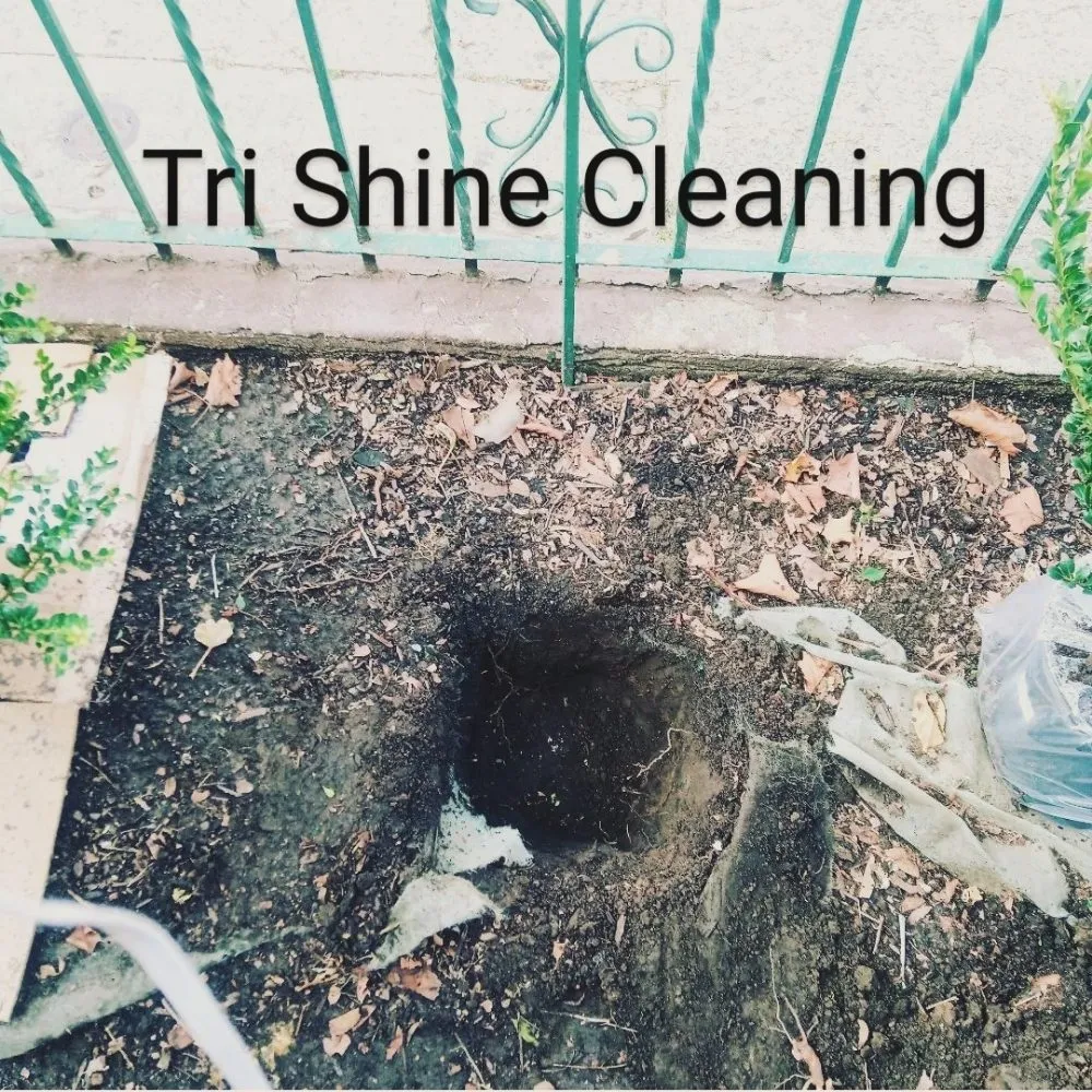 Top-rated residential landscaping in New York, NY - Tri Shine Cleaning