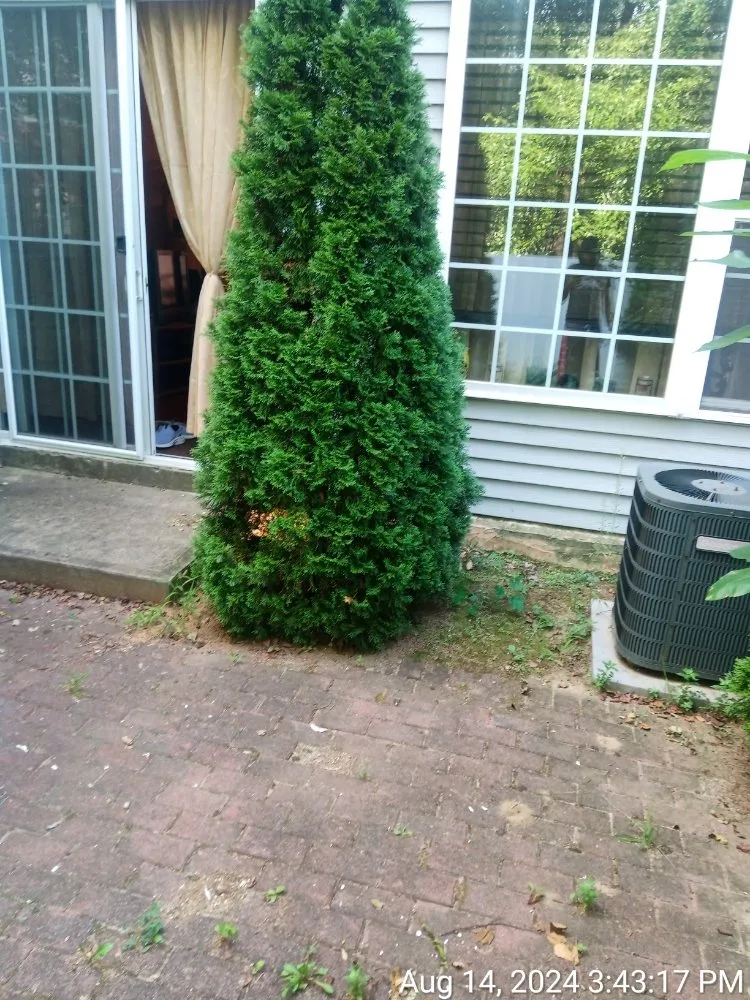 Custom landscaping services experts serving New York, NY - Tri Shine Cleaning