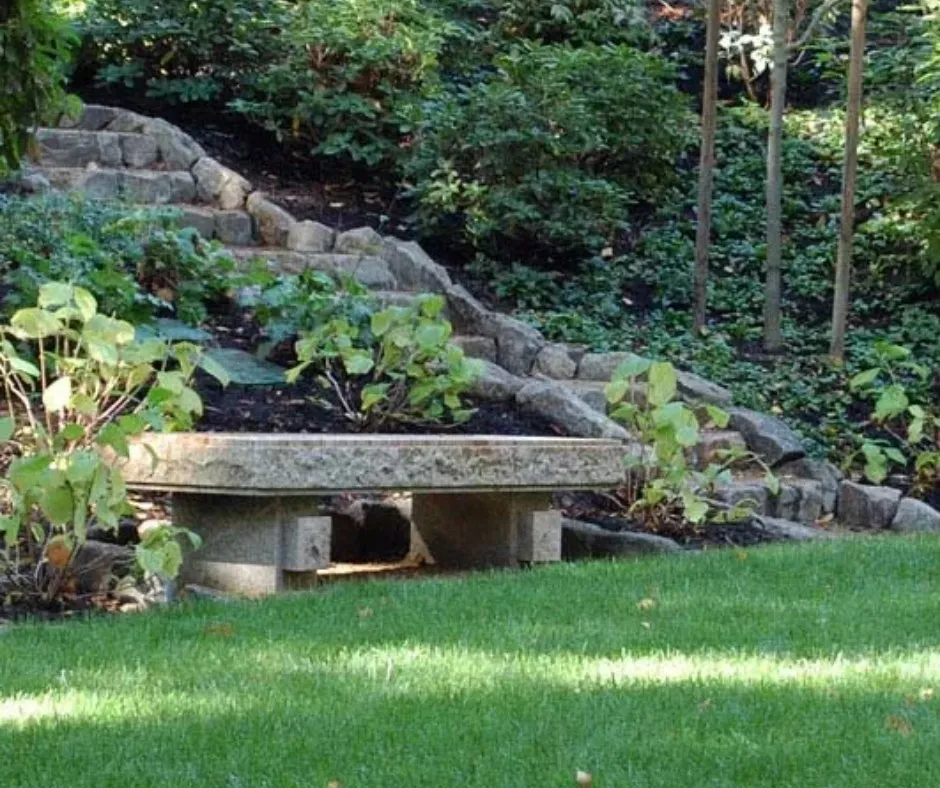 Custom yard cleanup service in Brentwood, CA - Tri Star Landscape Services