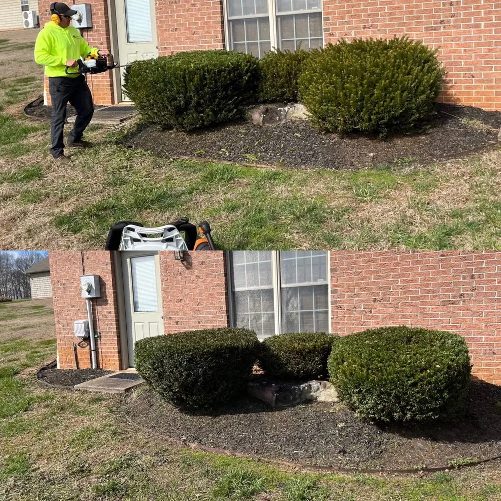 Expert yard maintenance for homes in Maryville, TN by Tri Star Lawn Service