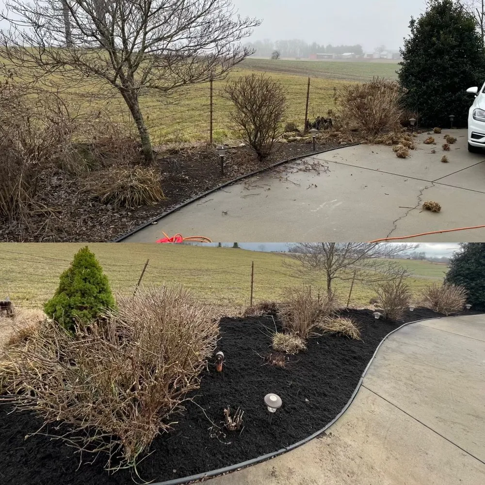 Expert yard maintenance for year-round maintenance in Maryville, TN by Tri Star Lawn Service