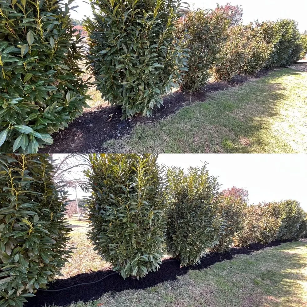 Local landscape design for residential properties in Maryville, TN by Tri Star Lawn Service