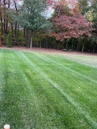 Top-rated yard cleanup service in Maryville, TN by Tri Star Lawn Service