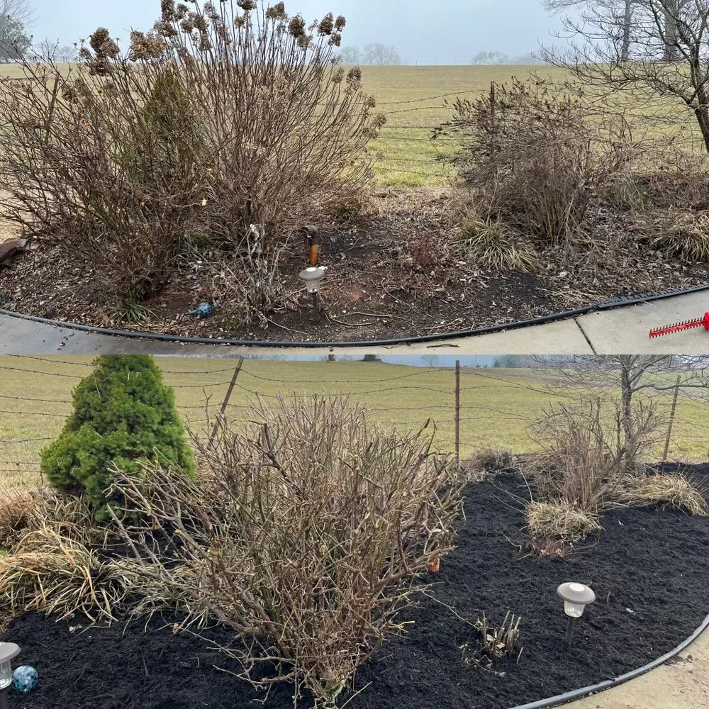 Custom lawn care service in Maryville, TN - Tri Star Lawn Service