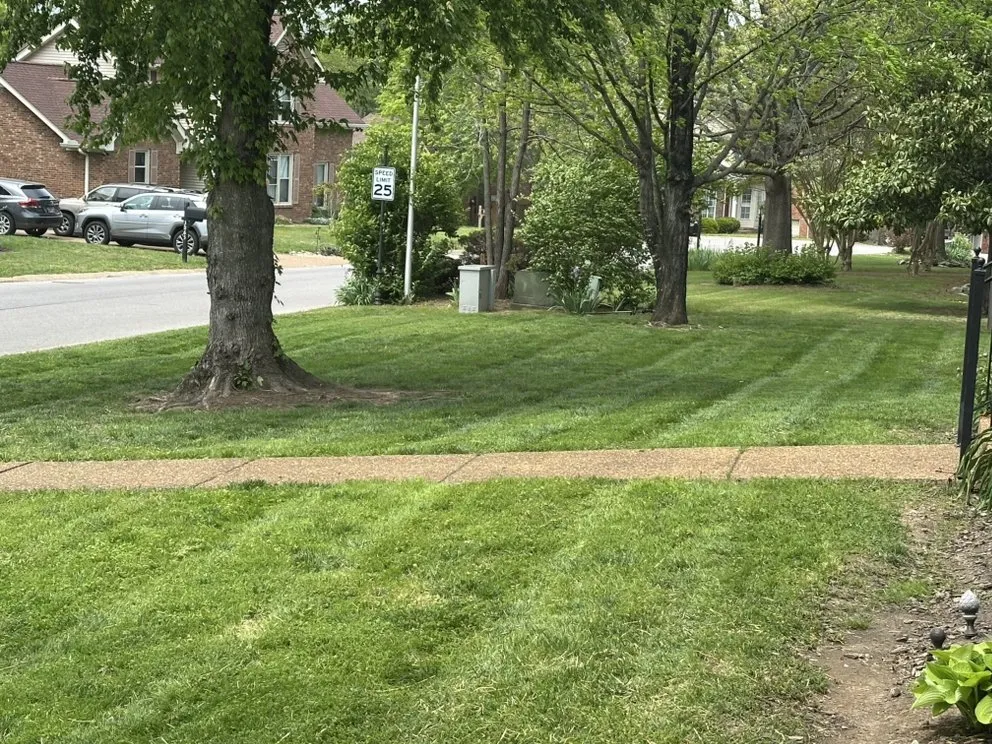 Top-rated landscaping services for beautiful yards in Franklin, TN by Tri-Star Turf Management