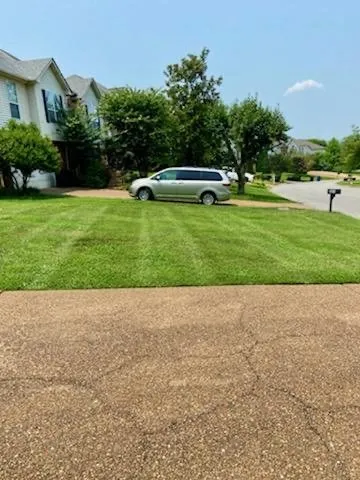 Professional yard cleanup service near you in Franklin, TN by Tri-Star Turf Management