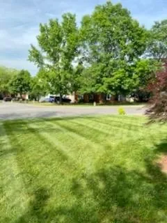 Professional yard cleanup service for residential properties in Franklin, TN by Tri-Star Turf Management