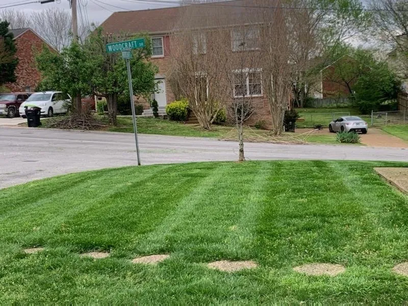 Expert landscape installation in Franklin, TN by Tri-Star Turf Management