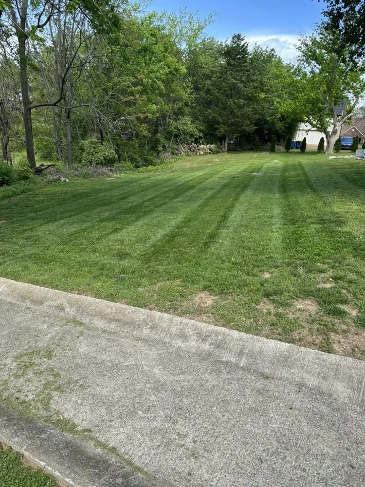 Reliable outdoor landscaping for year-round maintenance across Franklin, TN - Tri-Star Turf Management