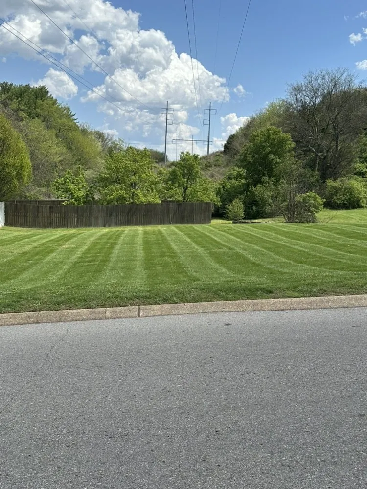 Professional yard cleanup service in Franklin, TN by Tri-Star Turf Management