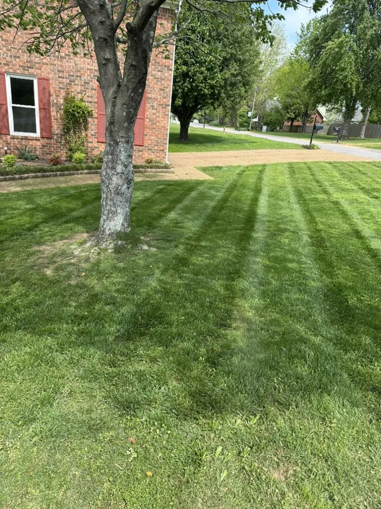 Reliable yard cleanup service with custom design in Franklin, TN by Tri-Star Turf Management