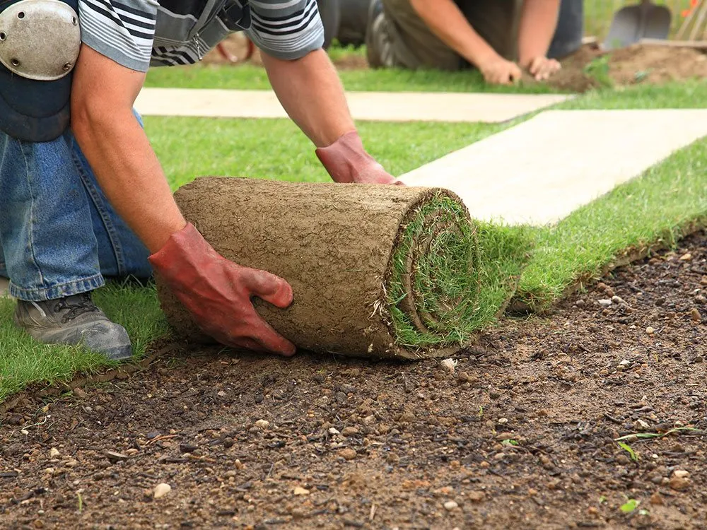 Expert residential landscaping in Milwaukee, WI - Tri Stars Landscaping and Snow Services