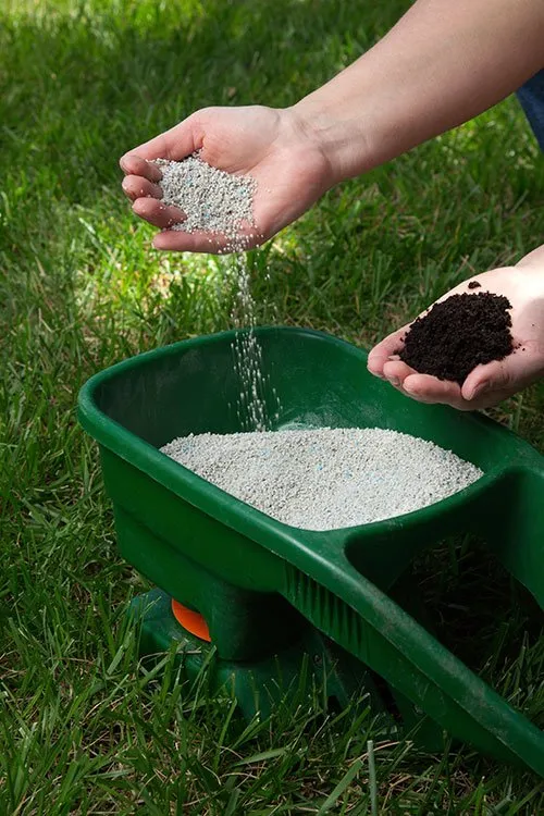 Custom landscaping services for year-round maintenance in Milwaukee, WI by Tri Stars Landscaping and Snow Services