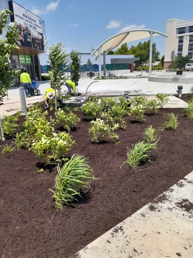 Reliable landscape installation for outdoor upgrades in Flatwoods, KY by Tri State Enterprise