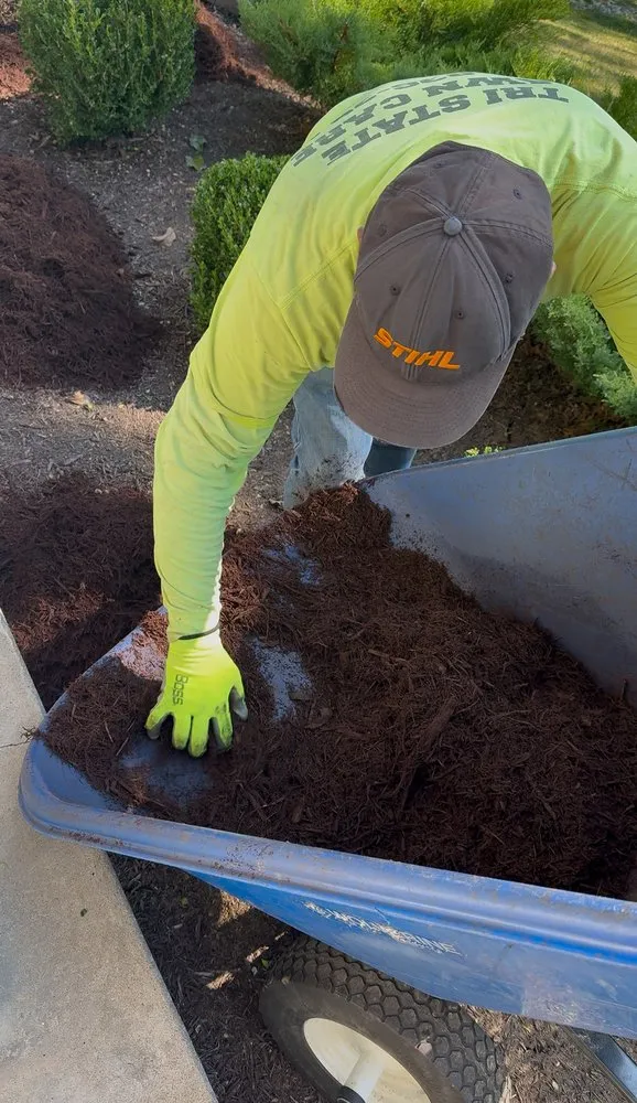 Affordable garden landscaping experts serving Flatwoods, KY - Tri State Enterprise