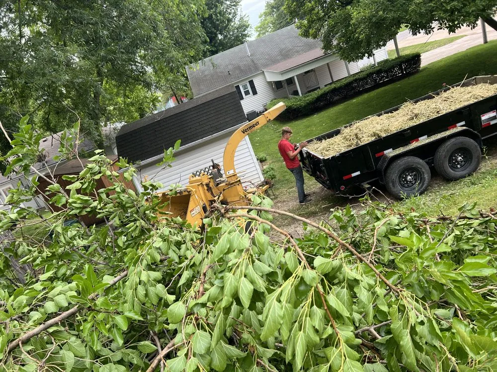 Expert lawn mowing service in Hannibal, MO - Tri-State Forestry