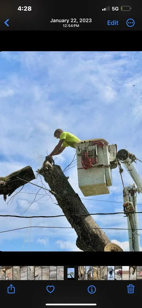 Reliable lawn mowing service in Hannibal, MO - Tri-State Forestry