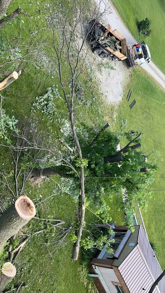 Custom yard cleanup service in Hannibal, MO by Tri-State Forestry