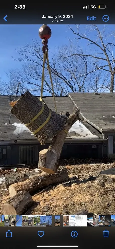 Affordable landscaping services experts serving Hannibal, MO - Tri-State Forestry