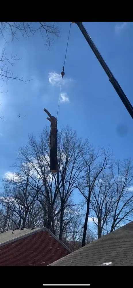 Local yard cleanup service in Hannibal, MO - Tri-State Forestry