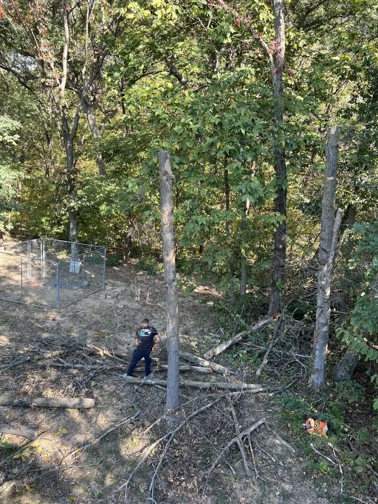 Affordable lawn mowing service for year-round maintenance across Hannibal, MO - Tri-State Forestry