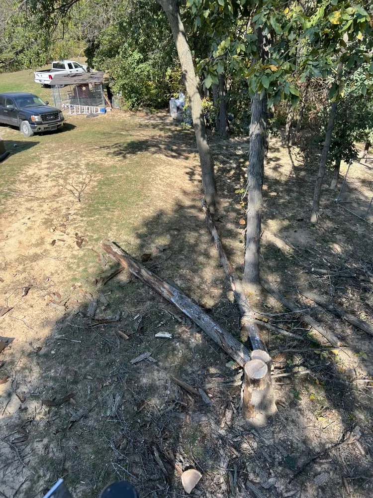 Top-rated garden landscaping in Hannibal, MO - Tri-State Forestry