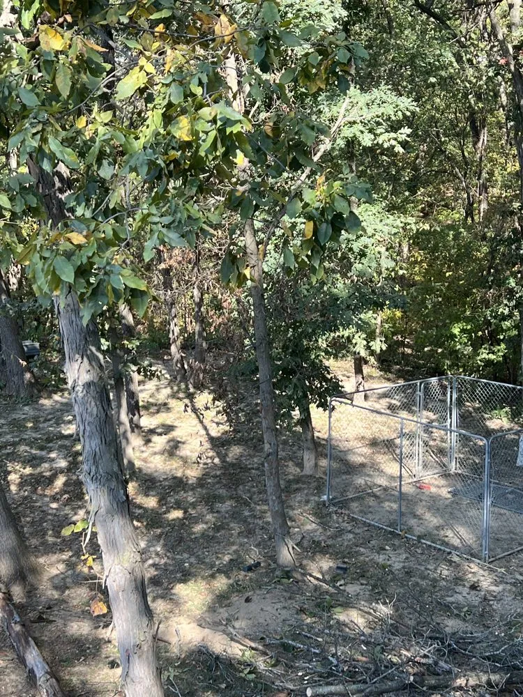 Top-rated yard maintenance for outdoor upgrades in Hannibal, MO by Tri-State Forestry