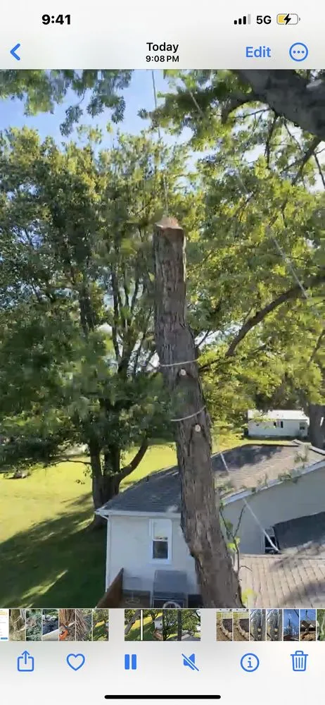 Top-rated landscape design for beautiful yards across Hannibal, MO - Tri-State Forestry