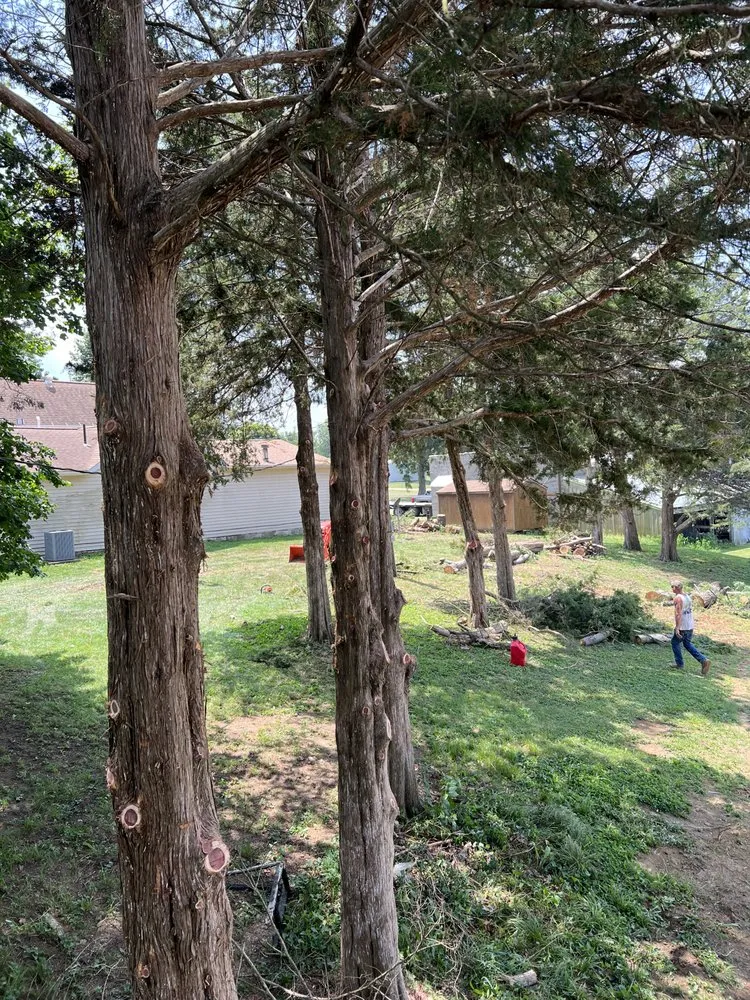 Professional garden landscaping for residential properties across Hannibal, MO - Tri-State Forestry