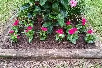 Top-rated yard maintenance for homes across Dothan, AL - Tri-State Hardscapes