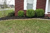 Affordable lawn care service experts serving Dothan, AL - Tri-State Hardscapes