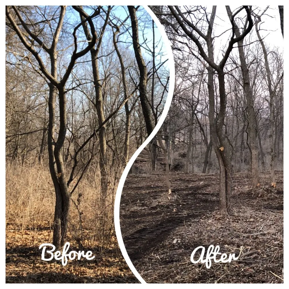 Reliable landscape design in Holt, MO - Tri-State Land Clearing
