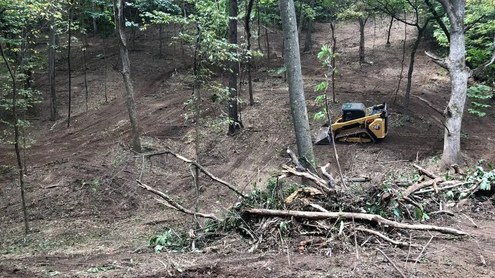 Top-rated lawn care service experts serving Holt, MO - Tri-State Land Clearing