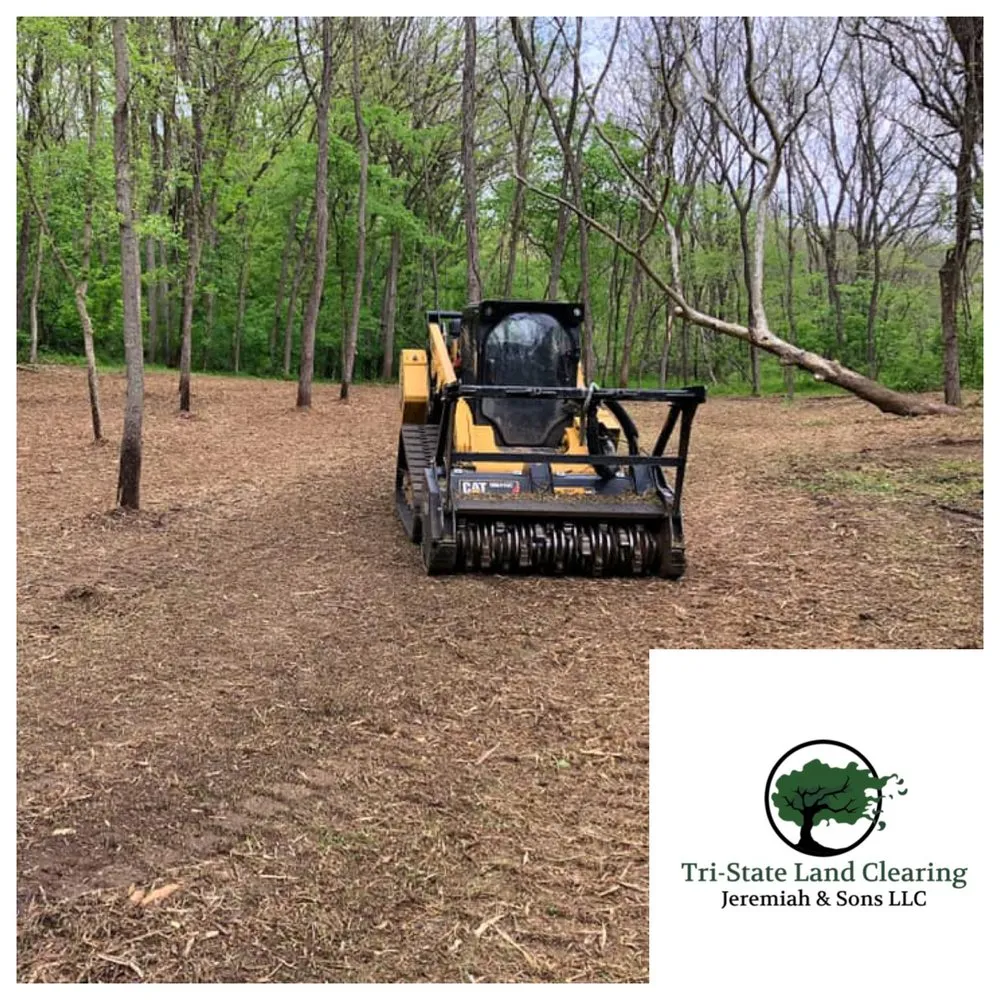 Top-rated outdoor landscaping for year-round maintenance in Holt, MO by Tri-State Land Clearing