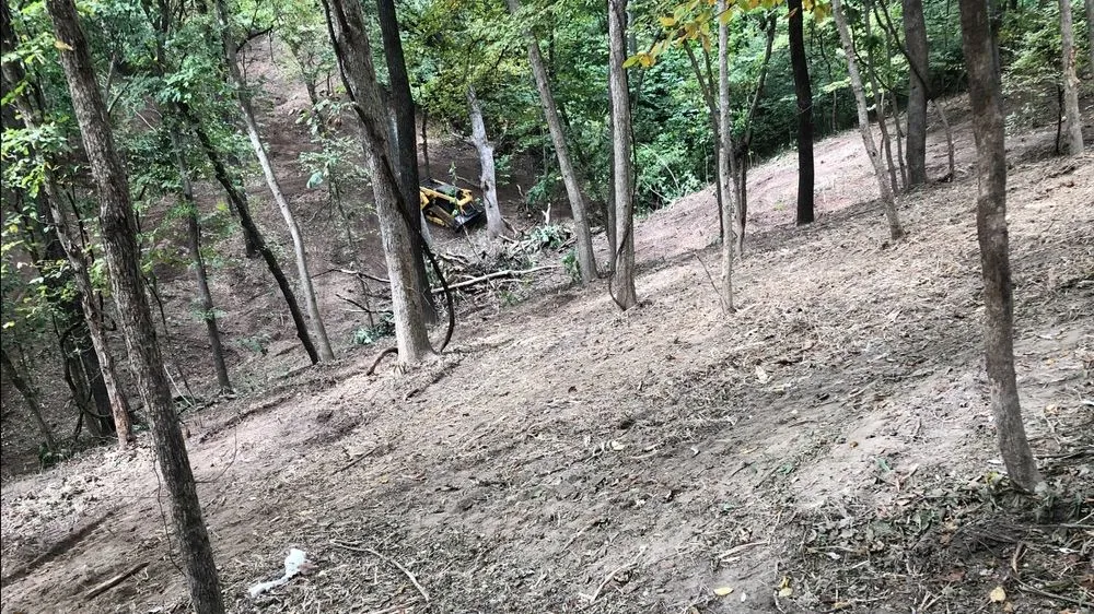 Custom landscape installation for year-round maintenance across Holt, MO - Tri-State Land Clearing