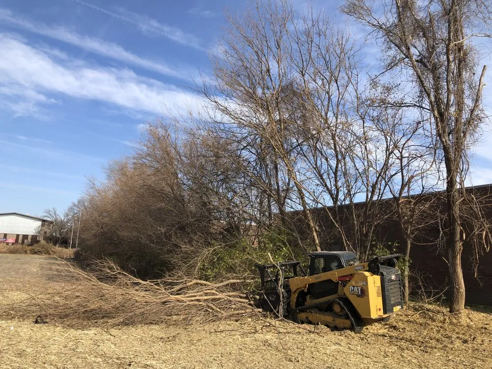 Professional landscape design for year-round maintenance in Holt, MO by Tri-State Land Clearing