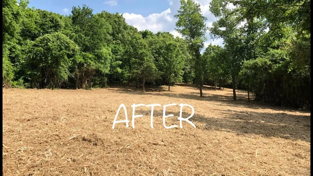 Trusted outdoor landscaping in Holt, MO by Tri-State Land Clearing