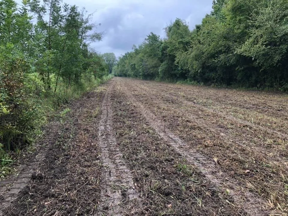 Expert garden landscaping near you in Holt, MO by Tri-State Land Clearing