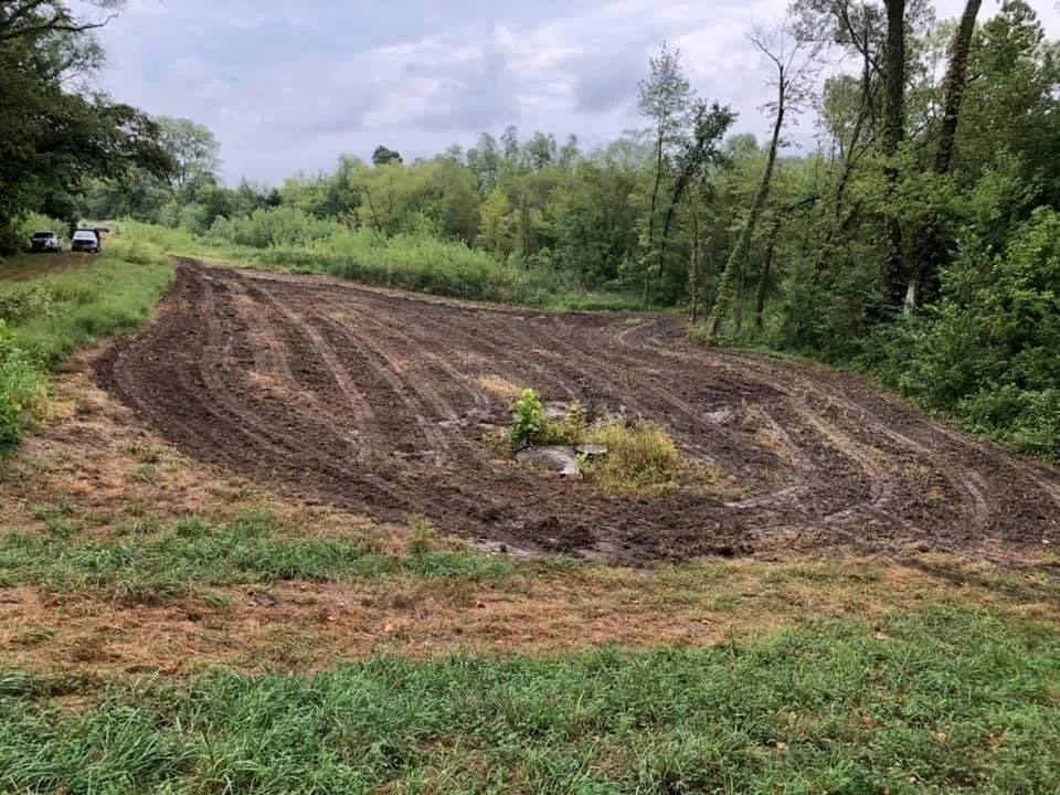Expert landscaping services for outdoor upgrades across Holt, MO - Tri-State Land Clearing
