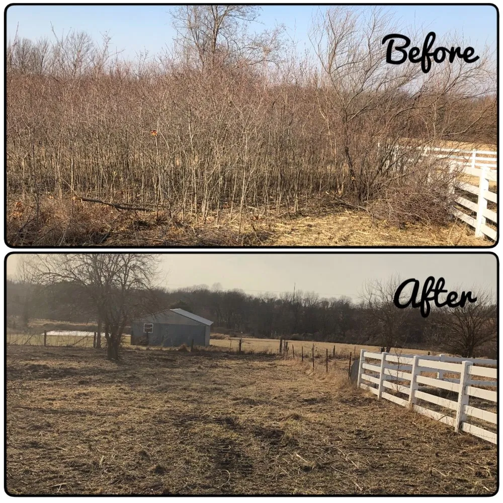 Custom lawn mowing service in Holt, MO by Tri-State Land Clearing